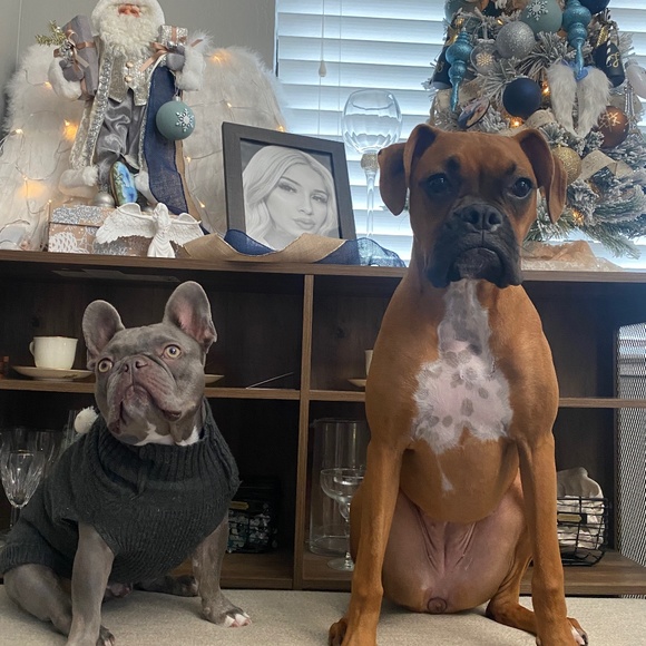 Meet your Posher, Posh - Picture 4 of 9